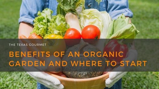Benefits of an Organic Garden and Where to Start